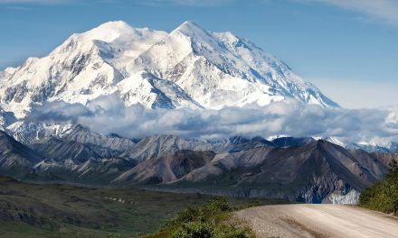 What Makes a Species “Native”?