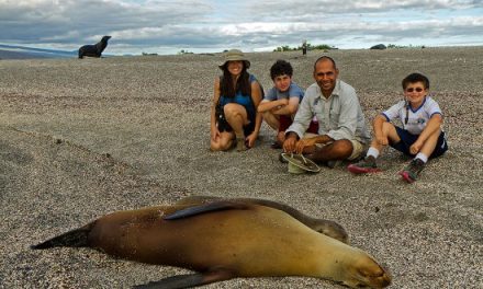 The Magic of Galapagos Through a Kid’s Eyes