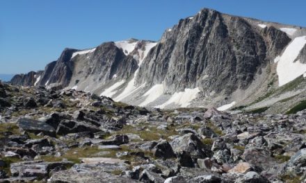 Test Your Nature Knowledge: Take Our High-Country Vocabulary Quiz!