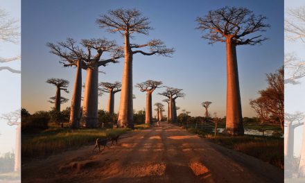 Best Adventure Book Ever Written