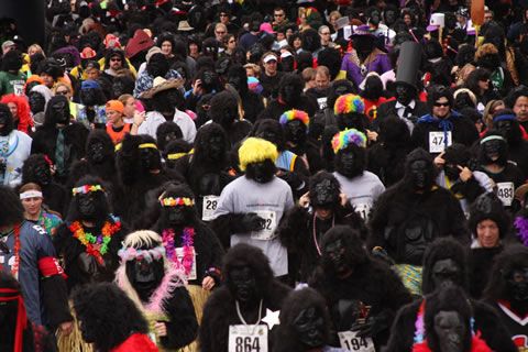 1,000 Gorillas Expected in the Streets of Denver