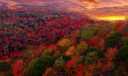 A Nature Lover Gives Thanks