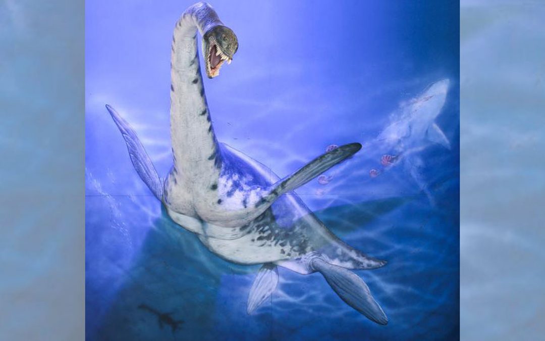 Finding the Real Sea Monsters