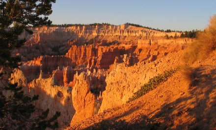 Saving the Paper of Priceless Places