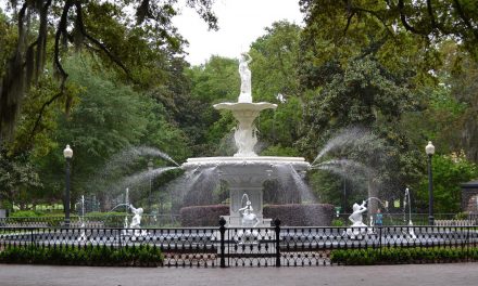 Natural Areas of the Future May Be Cities