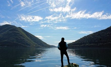 The Cure for Too Much Information: Detox Inside by Getting Outside