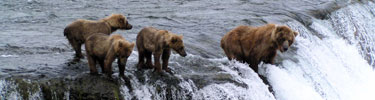 Alaska Cruise or Authentic Alaska? The Choice is Yours