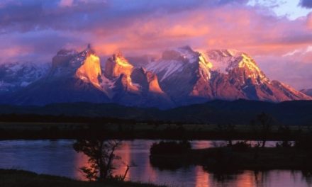 Expedition Patagonia: A Visual Safari