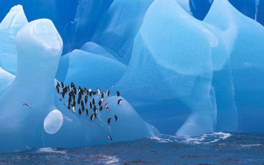 Every Great Exploration Probably Began with a Laugh