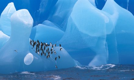 Every Great Exploration Probably Began with a Laugh