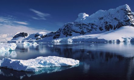 Do Adventure Movies Inspire Risk-Taking?