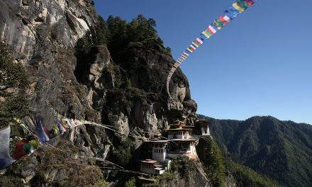 Bhutan Takes Measures Against Wildlife Poaching