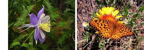 Take our Nature Trivia Quiz, Win a Free Waist Pack!