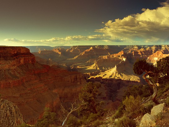 Take a Virtual Hike in our National Parks!