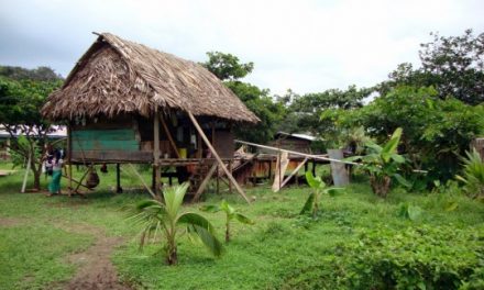 Ecotourism Builds Connections in Panama: A Visit to Salt Creek
