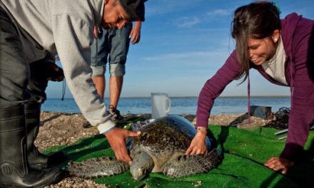 5 Ways We Make Every Day Earth Day at NHA