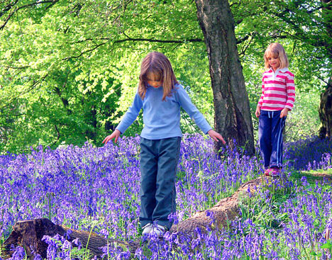 Got Your Daily Dose of Green?