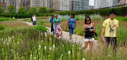 Nature Close to Home: How Does Your City Rate?