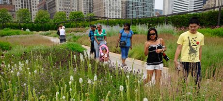 Nature Close to Home: How Does Your City Rate?