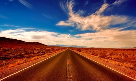 Are Paper Maps Obsolete?