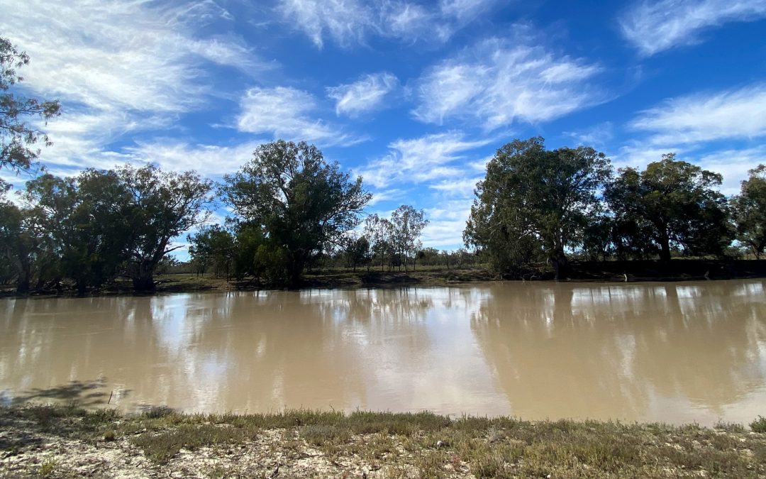 Video: Dancing the River Back in Australia