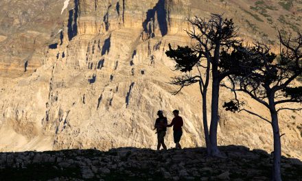 Are State and National Parks Going Extinct?