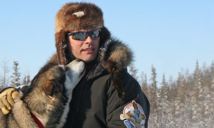 Video: The Sled Dog Puppy Breakfast Wheel