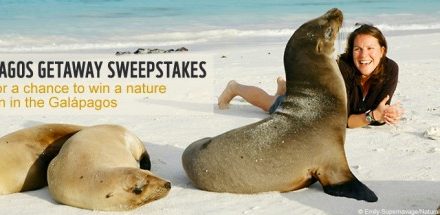 Galapagos Getaway Sweepstakes – Deadline Oct. 31!
