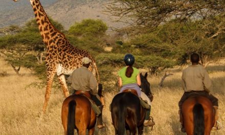 Active Africa! Multi-Sport Adventure Safari in Kenya