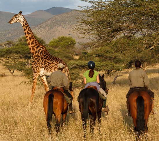 Active Africa! Multi-Sport Adventure Safari in Kenya