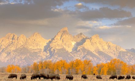 Concern for the Environment Reaches a New Low