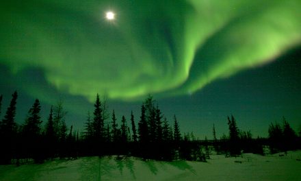 The North Star: Nature’s Best Guide