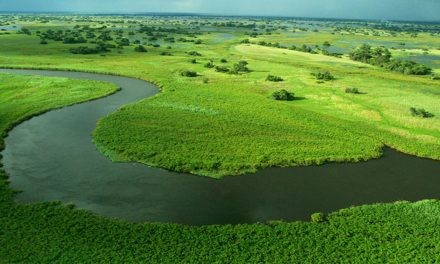 Do Digital Devices Dampen Travel Desire?