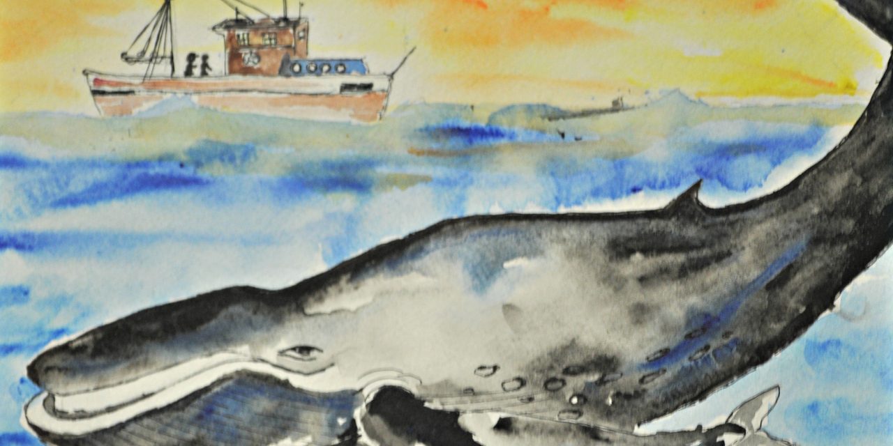 Youth Art Contest Produced Incredible Wildlife Artwork