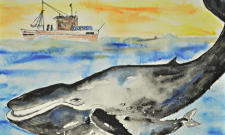 Youth Art Contest Produced Incredible Wildlife Artwork