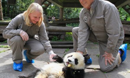 From the Field: China's Road Less Traveled