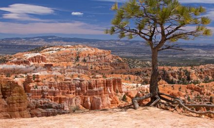 Are Off-the-Grid Getaways Becoming Obsolete?