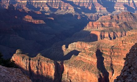 The T-Shirt’s 100th Anniversary:  What Do Yours Say About You and the Places You Visit?