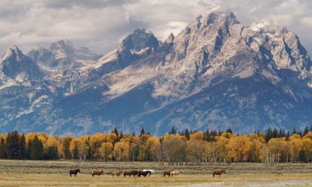 Fracking: The Road to Energy Independence or Environmental Hazard?