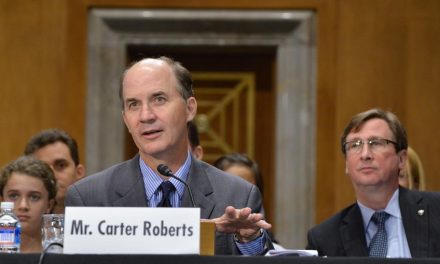 WWF President and CEO Appointed to White House's Advisory Council on Wildlife Trafficking