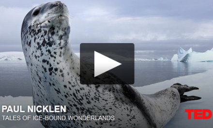 Tales of Ice-Bound Wonderlands – A Ted Talk by Paul Nicklen