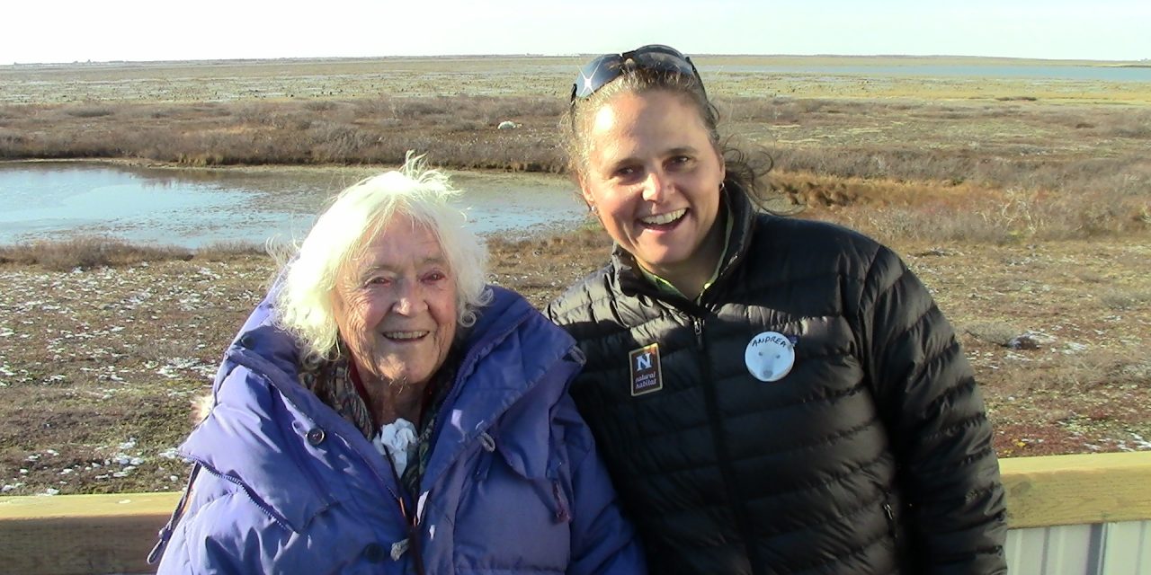Tracking Polar Bears at 100: Meet Elsa Bailey!