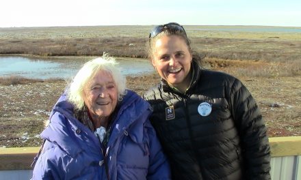 Tracking Polar Bears at 100: Meet Elsa Bailey!