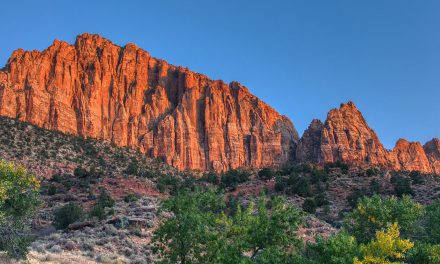 National Park Shutdown: Move the Barricades or Write to Congress?