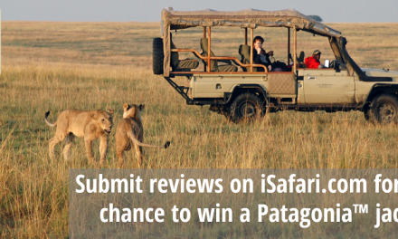 Submit Reviews on iSafari.com for the Chance to Win a Patagonia Jacket!