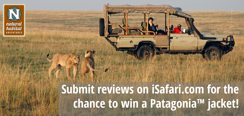 iSafari Reviews
