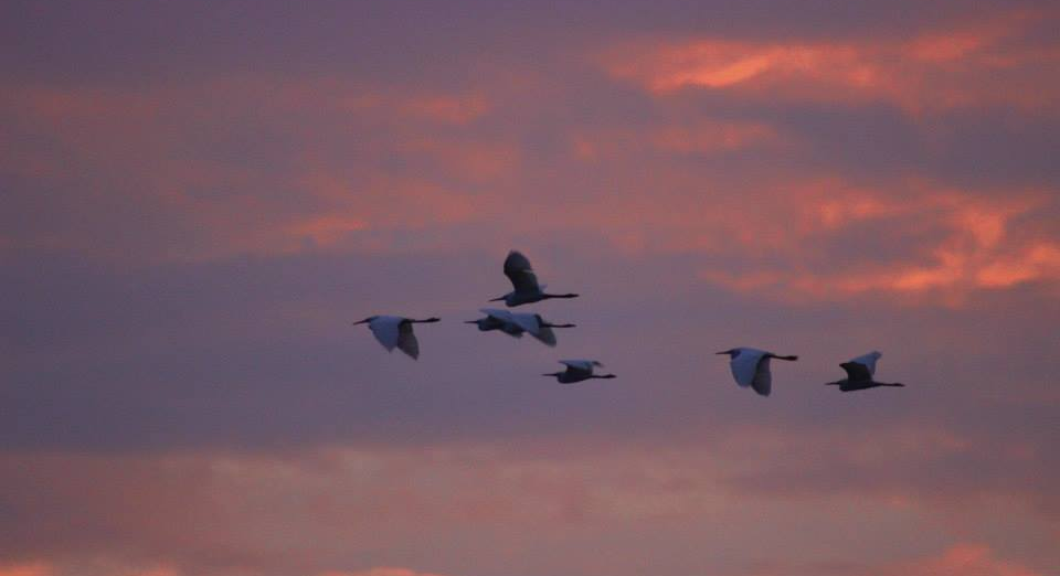 One Amazonian Protects the Future of Nature