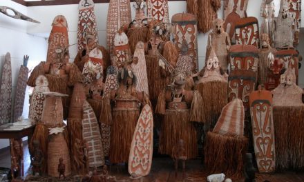 Carving a New Life for Forests