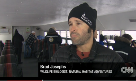 CNN Joins NHA Polar Bear Photo Tour