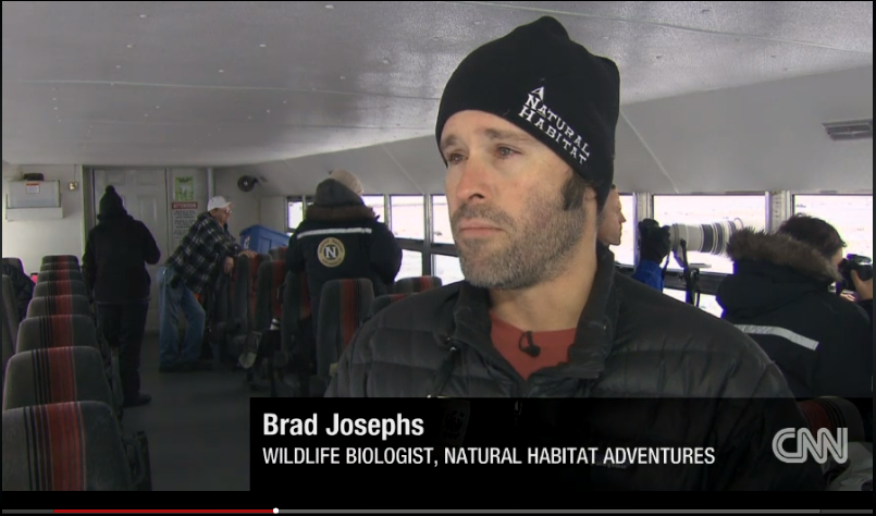 CNN Joins NHA Polar Bear Photo Tour